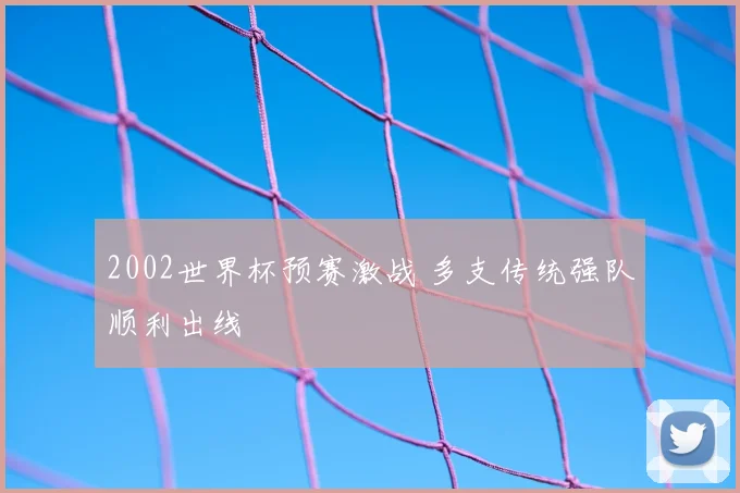 2002世界杯预赛激战 多支传统强队顺利出线