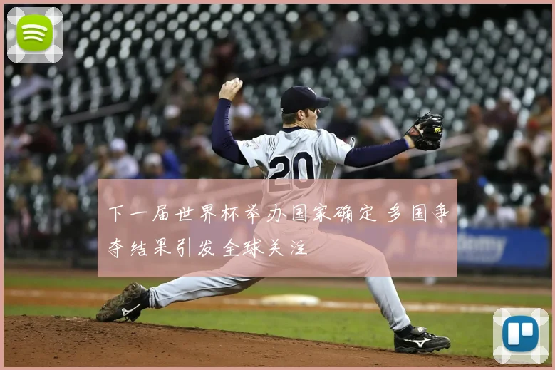 下一届世界杯举办国家确定 多国争夺结果引发全球关注