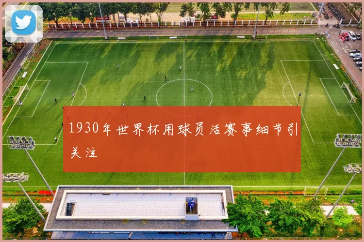 1930年世界杯用球员活赛事细节引关注
